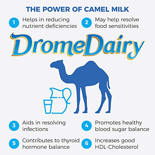 400G Box And Pouch Original Camel Milk Powder 1