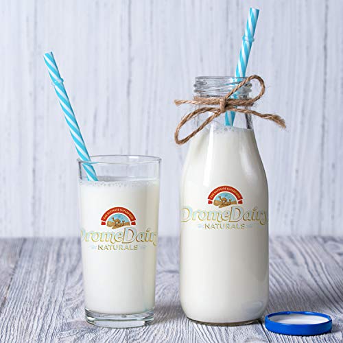 400G Box And Pouch Original Camel Milk Powder 1