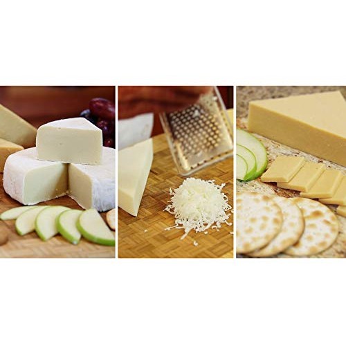 Druids Grove Lactic Acid Vegan Non-Gmo Gluten-Free Ou Ko