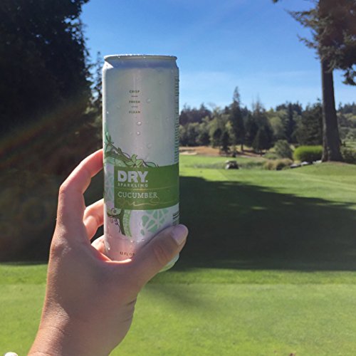 Dry Non-Alcoholic Cucumber Botanical Bubbly I 4 Clean Ingredient