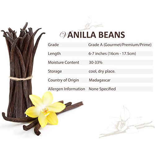 Dualspices - 10 - Grade A Madagascar Bourbon Vanilla Beans Vani
