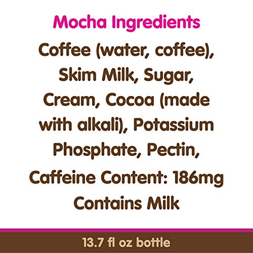 Dunkin Donuts Mocha Iced Coffee Bottle, 13.7 fl oz