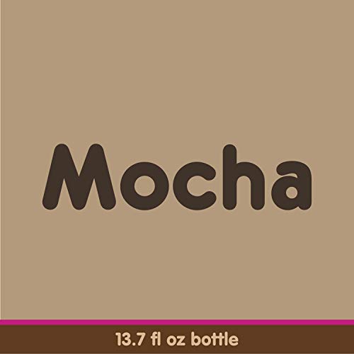 Dunkin Donuts Mocha Iced Coffee Bottle, 13.7 fl oz