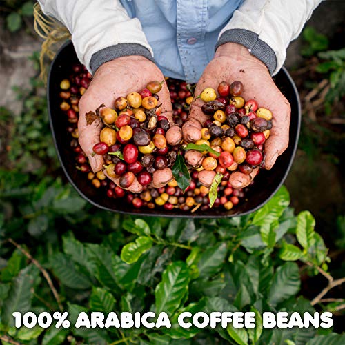 Dunkin Hazelnut Flavored Ground Coffee, 12 Ounces Packaging Ma