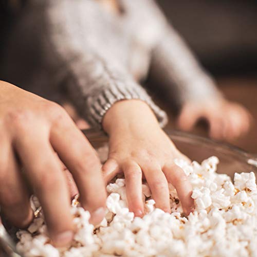 Dutchmans White Hulless Popcorn: Medium Virtually Hulless Popco