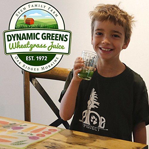 Dynamic Greens Wheatgrass Juice - 100 Fl Ozs - Just $1.89 Per Oz