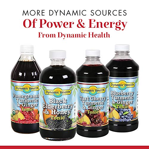 Dynamic Health Cranberry Turmeric & Ginger Tonic | Vegetarian, N...