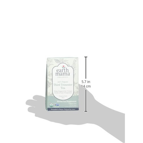 Earth Mama Organic Third Trimester Tea - 16 Ct - 2 Pk