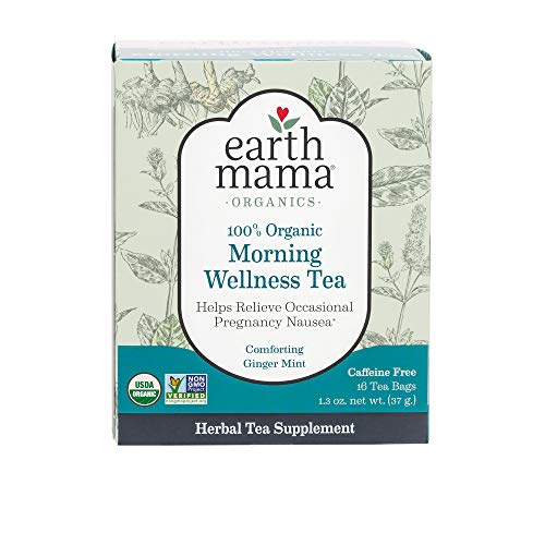 Earth Mama Angel Baby Organic Morning Wellness Tea 1.3 Oz Pack