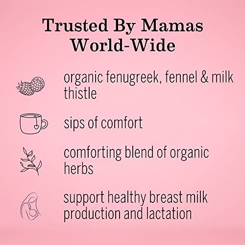 Earth Mama Milkmaid Lactation Tea | 100% Organic, Herbal Breastf...
