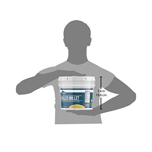 Hulled Millet, 1 Gallon Bucket By Earthborn Elements, Gluten-Fre