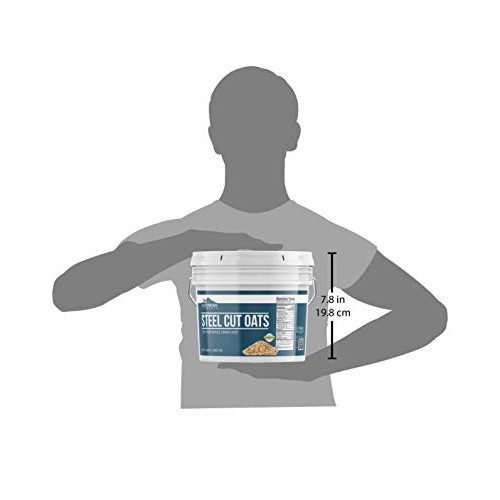 Steel Cut Oats, 1 Gallon Bucket 6 Lbs By Earthborn Elements, A