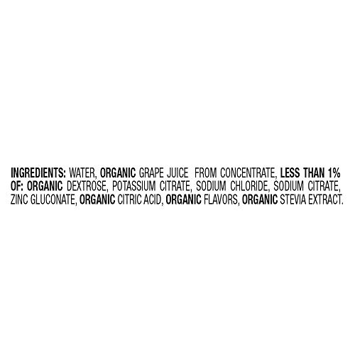 Earths Best Organic Electrolyte Solution, Concord Grape, 1 Lite