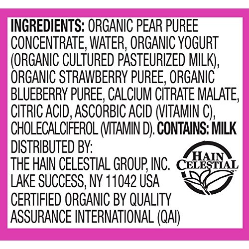 Earths Best Organic Sesame Street Toddler Fruit Yogurt Smoothie