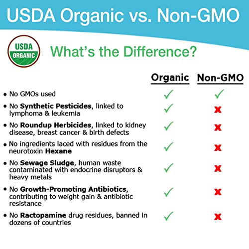 Earthshake Organic Kids Nutritional Protein Shake, Vanilla - Non