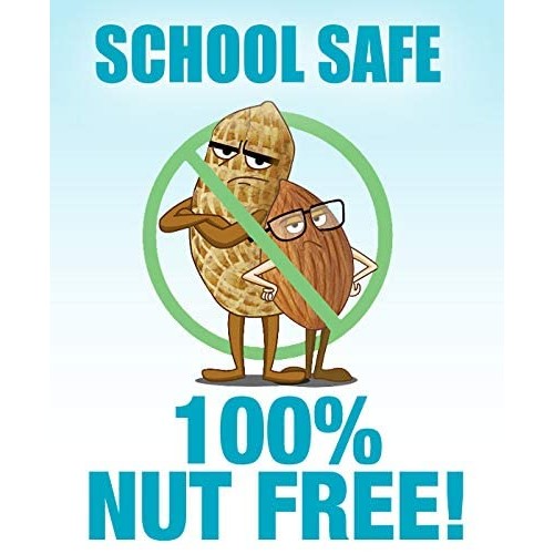 Earthshake Organic Kids Nutritional Protein Shake, Vanilla - Non