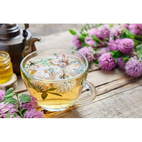 Red Clover Blossom - 100% Natural - 1 Lb 16Oz - Earthwise Arom