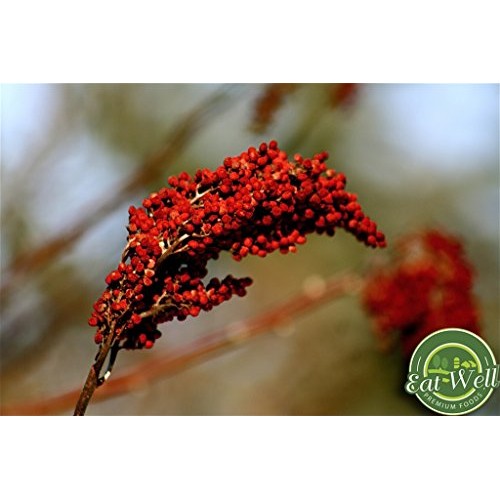 Sumac Spice Powder | 4 Oz 113 G | Bulk Ground Sumac Berries - Br