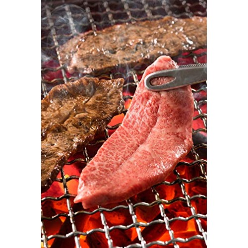 [Produt Of Japan] Ebara Ogon No Aji Fruit Base Yakiniku Bbq Sauc