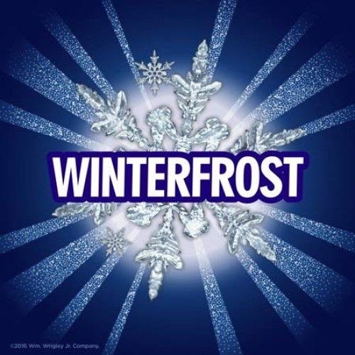 Sugar Free Winterfrost Chewing Gum, 6 Ct, Release A Cool Burst O