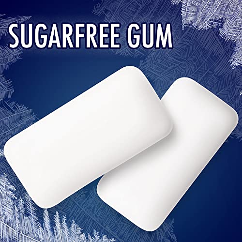 Eclipse Winterfrost Sugar Free Chewing Gum, 180 Piece Bag