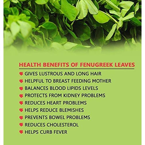 Dried Fenugreek Leaves | Kasoori Methi | Premium Quality | Butte