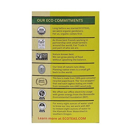 Ecoteas Organic Yerba Mate Unsmoked Tea 24 Bags Pack Of 3