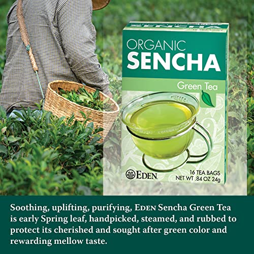 Eden Organic Sencha Green Tea, Japanese, Uji Cha, 16 Unbleached ...