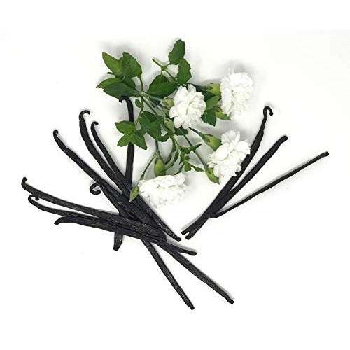 Mexican Vanilla Beans, Gourmet Quality Superior Grade