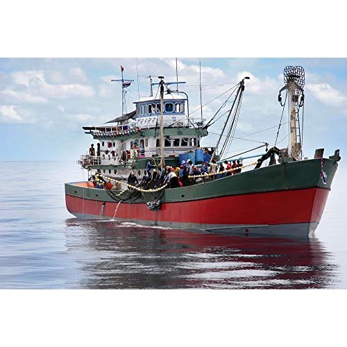 El Manar Tuna In Olive Oil 1 Kg ; Box Of 2