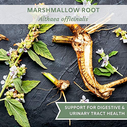 Marshmallow Root Herb 8 Oz. 227G, Contains Organic Non-Gmo Mar