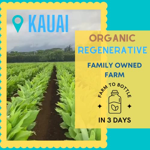 Elixir Shots Vitality 12 Pack Immunity Wellness Shot with 100%...