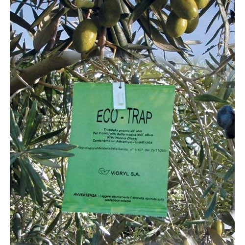 Ellora Farms, 2020 Gold Award Winner, Single Origin &Amp; Single Est