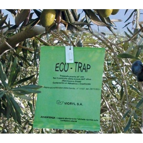 Ellora Farms | Global Award Winner | Single Estate Traceable Ext