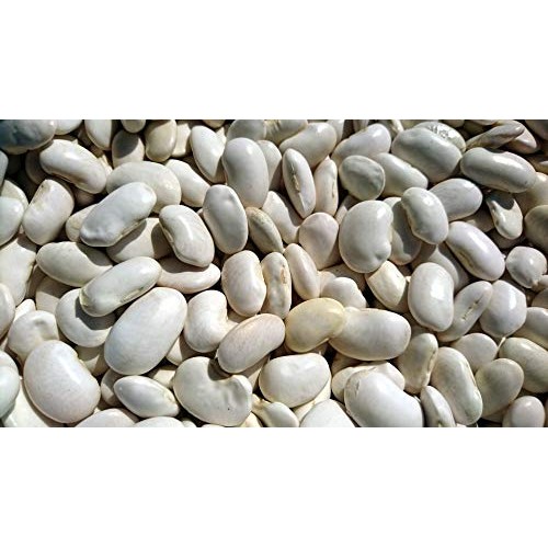 Zona Judion De La Granja - Large Butter Bean 3.42 Lbs