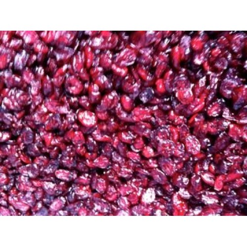 Enchanted Chocolates 70% Cacao Dark Chocolate Covered Cape Cod C