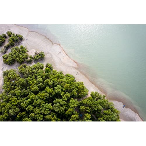 Endangered Species Dark Chocolate Bar with Hazelnut Toffee 72% ...