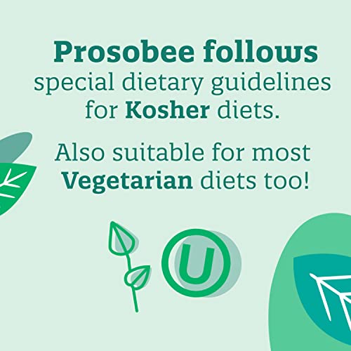 Enfamil ProSobee Soy-Based Infant Formula for Sensitive Tummies,...