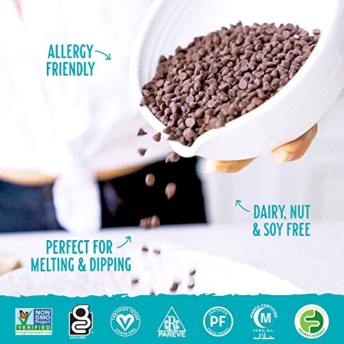 Enjoy Life Semi Sweet Chocolate Mini Chips, 10 oz