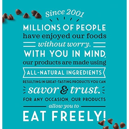 Enjoy Life Semi-Sweet, Dairy Free, Nut Free Vegan Chocolate Chip