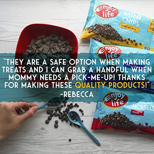 Enjoy Life Semi-Sweet, Dairy Free, Nut Free Vegan Chocolate Chip