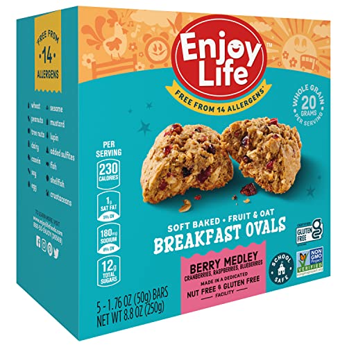 Enjoy Life Soft Baked Berry Medley Ovals, Gluten Free, School Sa