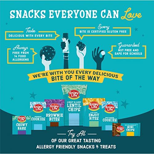 Enjoy Life Soft Baked Berry Medley Ovals, Gluten Free, School Sa