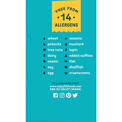 Enjoy Life Soft Baked Berry Medley Ovals, Gluten Free, School Sa