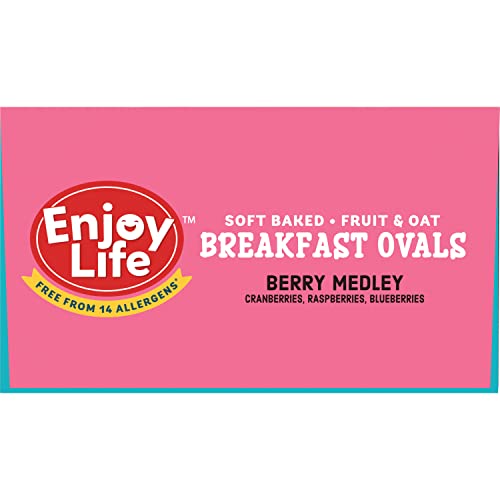 Enjoy Life Soft Baked Berry Medley Ovals, Gluten Free, School Sa