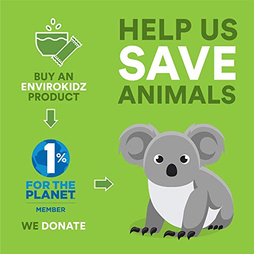 Nature’S Path Envirokidz Amazon Frosted Flakes Cereal, Healthy,