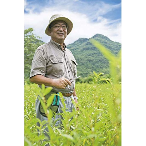 Organic White Mulberry Tea- 80 tea bags