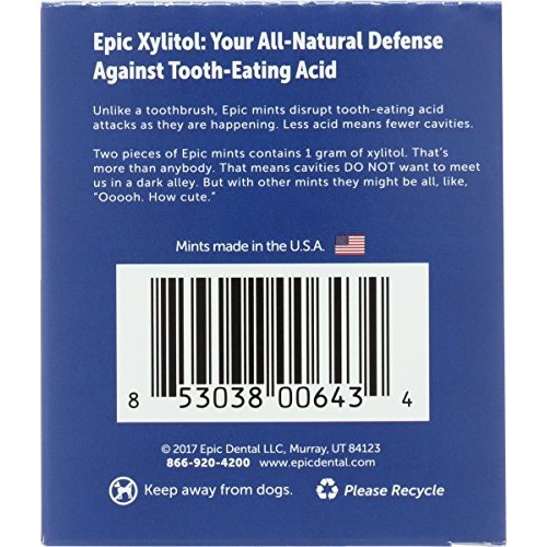 Epic Dental 100% Xylitol Sweetened Breath Mints, Cinnamon Flavor