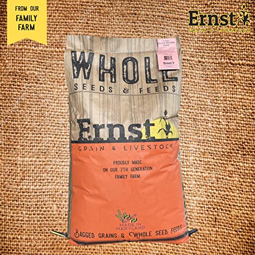 Ernst Grains Oats, 50 lb
