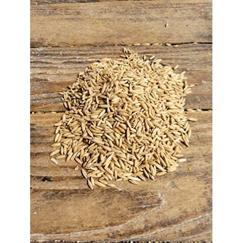 Ernst Grains Oats, 50 lb